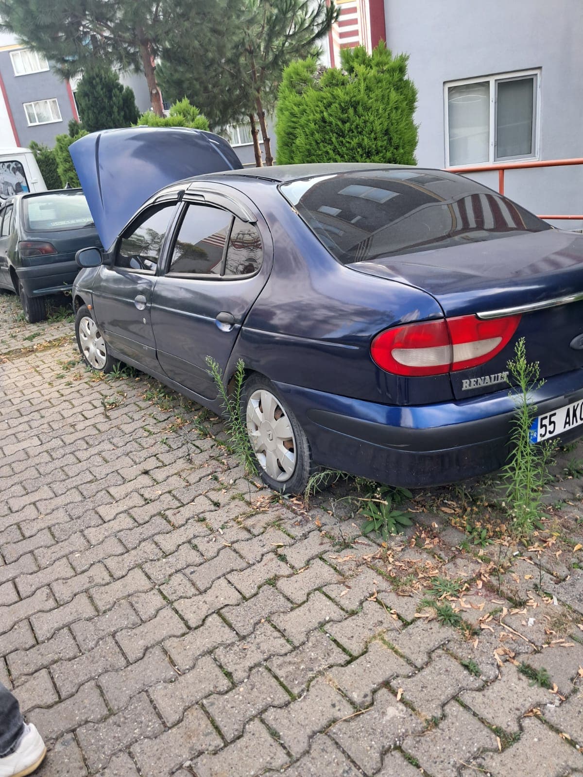 Renault Megane kazalı araç